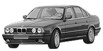 BMW E34 P295E Fault Code